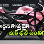 కొత్త లుక్ లో నార్టన్ మ్యాంక్స్ ఆర్‌.. పింక్, పర్పుల్ లో అదిరిందయ్యా!