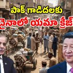 పాకిస్థాన్ గాడిదలను.. ఎగబడి కొంటున్న చైనా.. ఎందుకో తెలిస్తే షాకే!