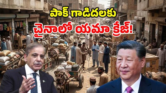 పాకిస్థాన్ గాడిదలను.. ఎగబడి కొంటున్న చైనా.. ఎందుకో తెలిస్తే షాకే!