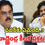 అసెంబ్లీకి పవన్ ఎందుకు రాలేదు? క్లారిటీ ఇచ్చిన మంత్రి నాదెండ్ల!