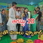 Podarillu Today Episode : మొక్కు తీర్చుకున్న మహా.. పెద్ది కోసం త్యాగం.. శైలును మోసం చేసిన వరాలు..