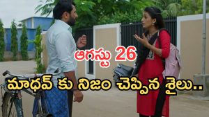 Podarillu Today Episode : విక్కీకి చక్రీ ఝలక్.. కన్నాకు సపోర్ట్ గా మహా.. మాధవ్ కు నిజం చెప్పిన శైలు..