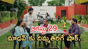 Podarillu Today Episode : అబ్బా.. చక్రీ పంట పండింది.. పెద్దోడు పెళ్లి ఫిక్స్.. నిజం తెలుస్తుందా..?