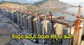 రూ.474 ధరకే.. 60 గంటల బ్యాటరీ లైఫ్ ఇచ్చే ఇయర్‌బడ్స్!