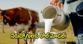 కూటమిలో విభేదాలు సృష్టించేందుకు కుట్ర.. బాలినేని డ్రామా బట్టబయలు చేసిన ఎమ్మెల్యే దామచర్ల!