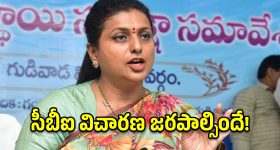 మెగా డీఎస్సీ కాదు.. దగా డీఎస్సీ.. కూటమి ప్రభుత్వంపై విరుచుకుపడ్డ రోజా!