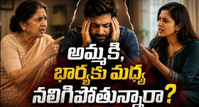 భార్యతో గొడవలు ఎందుకు వస్తాయో తెలుసా?