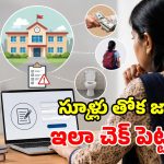 తల్లిదండ్రులకు గుడ్ న్యూస్.. ప్రైవేటు స్కూళ్లు దోపిడీ చేస్తే.. ఈ వెబ్ సైట్‌లో ఫిర్యాదు చేయండి!