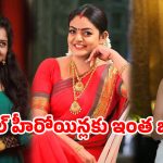 వంటలక్క నుంచి ప్రియాంక వరకు వరకు….రోజుకు ఎంత తీసుకుంటున్నారో తెలిస్తే షాక్!