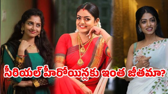 వంటలక్క నుంచి ప్రియాంక వరకు వరకు….రోజుకు ఎంత తీసుకుంటున్నారో తెలిస్తే షాక్!
