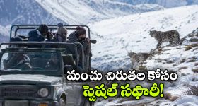 అమెజాన్ సేల్‌లో బ్లాక్‌బస్టర్ ఆఫర్.. రూ.10,000 తగ్గిన Samsung Galaxy A56 5G ధర!