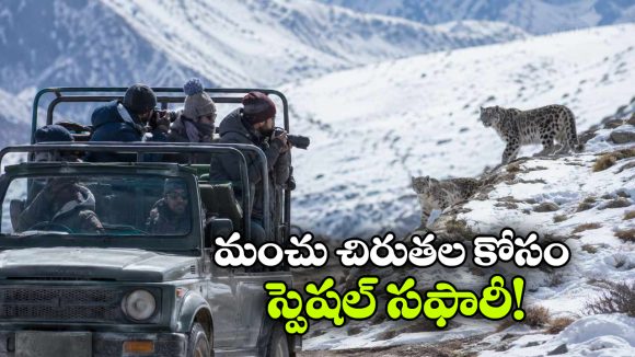 లడఖ్‌లో స్నో లియోపార్డ్ సఫారీ.. ఇక మంచు చిరుతలను దగ్గరగా చూసెయ్యొచ్చు!