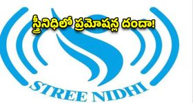 తెలంగాణ స్త్రీనిధిలో ఆంధ్ర పెత్తనం? హెచ్‌ఆర్ అర్హతే లేదు.. కానీ అడ్మిన్ సీటు ఆమెదే!