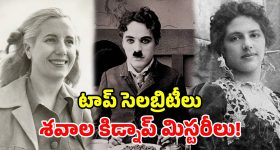 డీజిల్‌కు గుడ్‌బై.. భారత్‌లో 35 హైడ్రోజన్ రైళ్లు.. వామ్మో.. రైల్వే ప్లాన్ మామూలుగా లేదుగా!