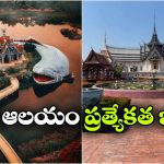 గుడిని చుట్టుకున్న చేప.. ఈ ఆలయం ఎక్కడ ఉందో తెలుసా?
