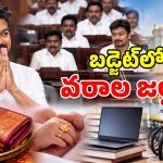 విజయ్ మార్క్ బడ్జెట్.. పెళ్లికి బంగారు నాణెం.. పుట్టిన పాపాయికి గోల్డ్ రింగ్!