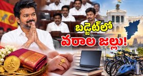 విజయ్ మార్క్ బడ్జెట్.. పెళ్లికి బంగారు నాణెం.. పుట్టిన పాపాయికి గోల్డ్ రింగ్!