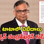 టాటా సన్స్‌కు చంద్రశేఖరన్ రాజీనామా.. కుప్పకూలిన షేర్లు.. గుడ్ బైకి కారణం అదేనా?
