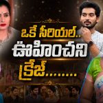 ఒక్క సీరియల్‌తోనే స్టార్‌లైపోయిన నటులు వీళ్లే!