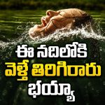 భర్త మీద అలిగి నదికిపోతే… 15 నిమిషాలే… కానీ గుండెల్లో దడ పుట్టించే హారర్ షార్ట్ ఫిల్మ్