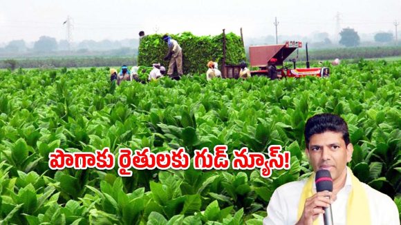 ఏపీ పొగాకు రైతులకు కేంద్రం గుడ్ న్యూస్ .. కీలక ప్రకటన చేసిన కేంద్రమంత్రి!