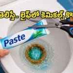 టాయిలెట్ ట్యాంక్‌లో టూత్‌పేస్ట్ వేస్తే జరిగే మ్యాజిక్ ఇదే.. మీరు ఎప్పుడైనా ట్రై చేశారా?