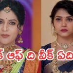 Telugu Serials :  సీరియల్స్ వీక్లీ రౌండప్.. టాక్ ఆఫ్ ది సీరియల్ ఇదే..?