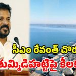 తుమ్మిడిహట్టిపై బిగ్ అప్‌డేట్.. సెప్టెంబర్ 1న ఢిల్లీలో సీడబ్ల్యూసీ కీలక భేటీ!