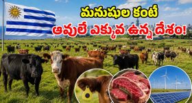 కొత్త లుక్‌తో రాయల్ ఎన్‌ఫీల్డ్ కాంటినెంటల్ GT 650.. ఏమేం మారాయంటే?