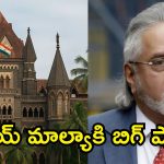 ముందు ఇండియాకు రా.. ఆ తర్వాతే విచారణ! విజయ్ మాల్యాకు బాంబే హైకోర్టు వార్నింగ్!