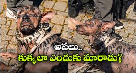 మైక్రోవేవ్ ఓవెన్లలపై భారీ డిస్కౌంట్లు..ఆఫర్ పోతే రాదు వెంటనే కొనేయండి