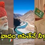 సింధూ జలాలపై పాక్ ప్రధాని పిచ్చి ప్రేలాపనలు.. షెహబాజ్ షరీఫ్‌కు భారత్ స్ట్రాంగ్ కౌంటర్!