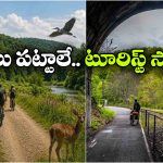 1964లో మూసేసిన రైల్వే లైన్.. ఇప్పుడు ఏటా 60 వేల మంది సందర్శించే టూరిస్ట్ స్పాట్.. అలా ఎలా?