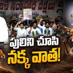 బయటకొచ్చిన వైసీపీ కాక్రోచ్‌లు.. రోడ్లపై నిరాహార దీక్షలు.. ఎక్కడో కొడుతోంది శీనా..!