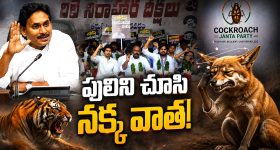 మనసు దోచేసే ప్రకృతి అందాలు.. ఆగస్టులో 5 అద్భుత పర్యాటక ప్రాంతాలు ఇవే