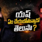 టాక్సిక్ తర్వాత యష్ చేయబోయే సినిమాలు ఇవే ?