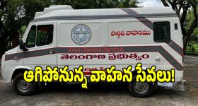 డస్టర్ To సెల్టోస్.. ఇండియన్ మార్కెట్లో హైబ్రిడ్ కార్ల జోరు!