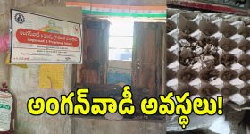 అనకాపల్లి కి నయా లుక్.. మన ఊరు-మన బాధ్యత సీఎం చంద్రబాబు పిలుపు!