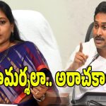 రప్పా రప్పా నాటకాలకు చెక్ పెడతాం.. వైఎస్ జగన్‌పై హోం మంత్రి అనిత ఫైర్!
