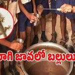 ప్రకాశం జిల్లాలో దారుణం.. బల్లులు పడిన జావ తాగిన విద్యార్థులు