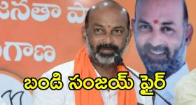 రాబోయే బోర్డర్-గవాస్కర్ ట్రోఫీలో ఆస్ట్రేలియాను వైట్ వాష్ చేస్తాం