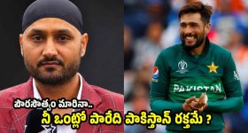 పాకిస్తాన్ కుక్క‌ల‌కు కూడా ఐపీఎల్ లో ఎంట్రీ లేదు..అమీర్ కు హ‌ర్భ‌జ‌న్ స్ట్రాంగ్ కౌంట‌ర్