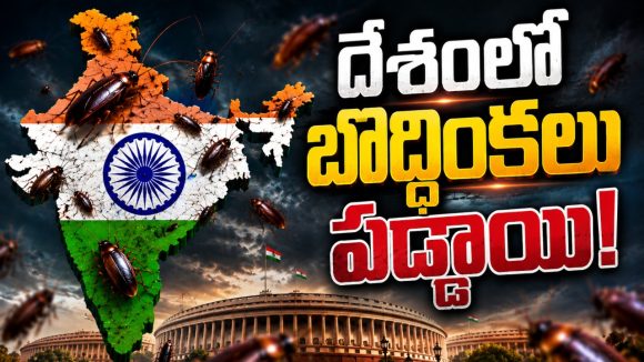 అధ్య‌య‌నం.. పోరాటం.. జ‌నం నాడి తెలుసుకునేందుకు దేశ‌వ్యాప్త టూర్‌కు బొద్దింక‌ల ప్లాన్‌.. !