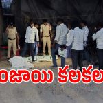 గద్వాల్ మార్కెట్ యార్డులో భారీ గంజాయి కలకలం