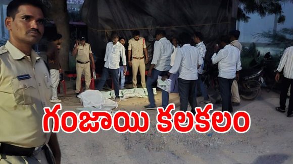 గద్వాల్ మార్కెట్ యార్డులో భారీ గంజాయి కలకలం