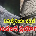 ఏనుగు చర్మం తరహాలో.. సరికొత్త టైల్స్, ఇల్లంతా కూల్ కూల్!