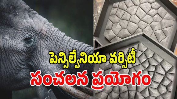 ఏనుగు చర్మం తరహాలో.. సరికొత్త టైల్స్, ఇల్లంతా కూల్ కూల్!