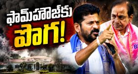 వెయ్యి రోజుల ర‌గ‌డ‌...! పోటాపోటీ వారోత్స‌వ పోరాటాలు! నా బంగారు పుట్ట‌లో వేలు పెడితే నీ ఫామ్‌హౌజ్‌ను కుట్ట‌నా?