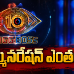 Bigg Boss Telugu 10: ఇదేంట్రా నాయనా.. కంటెస్టెంట్స్ కు ఒక్కరోజుకు లక్షల్లో రెమ్యూనరేషనా?