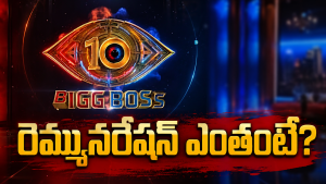 Bigg Boss Telugu 10: ఇదేంట్రా నాయనా.. కంటెస్టెంట్స్ కు ఒక్కరోజుకు లక్షల్లో రెమ్యూనరేషనా?